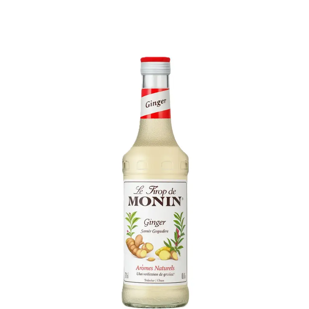MONIN Sirop Goût Gingembre