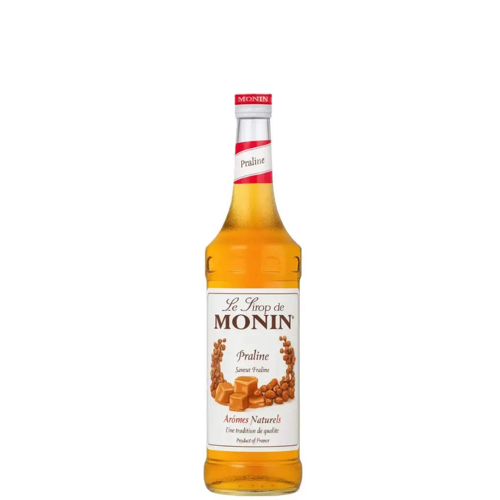 MONIN Sirop Goût Praline