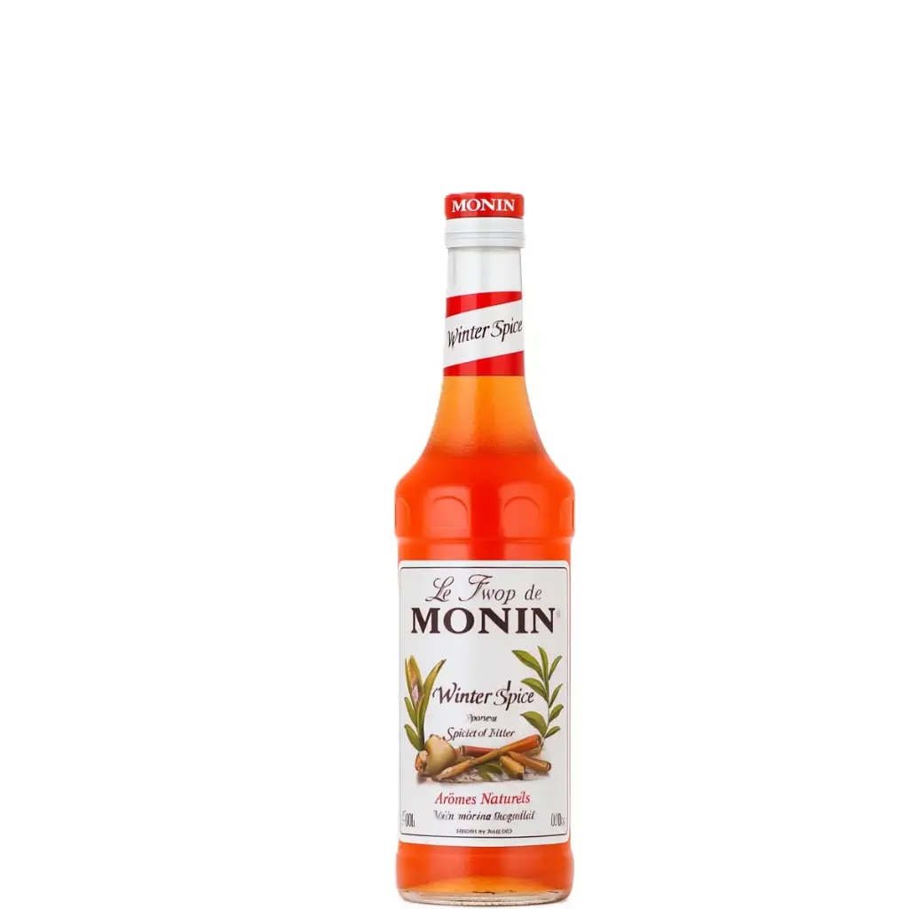 MONIN Sirop Goût Epices d'Hiver