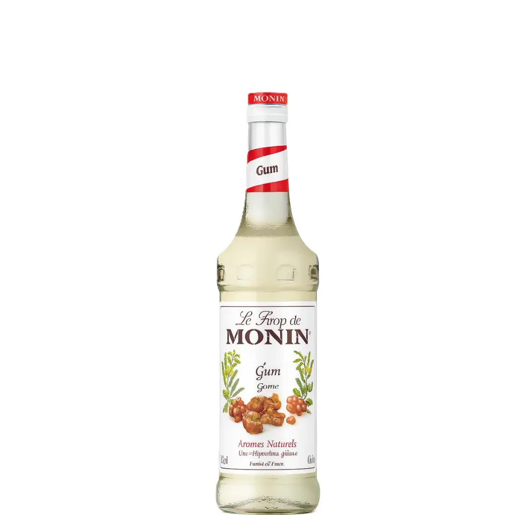MONIN Sirop Goût Gomme 