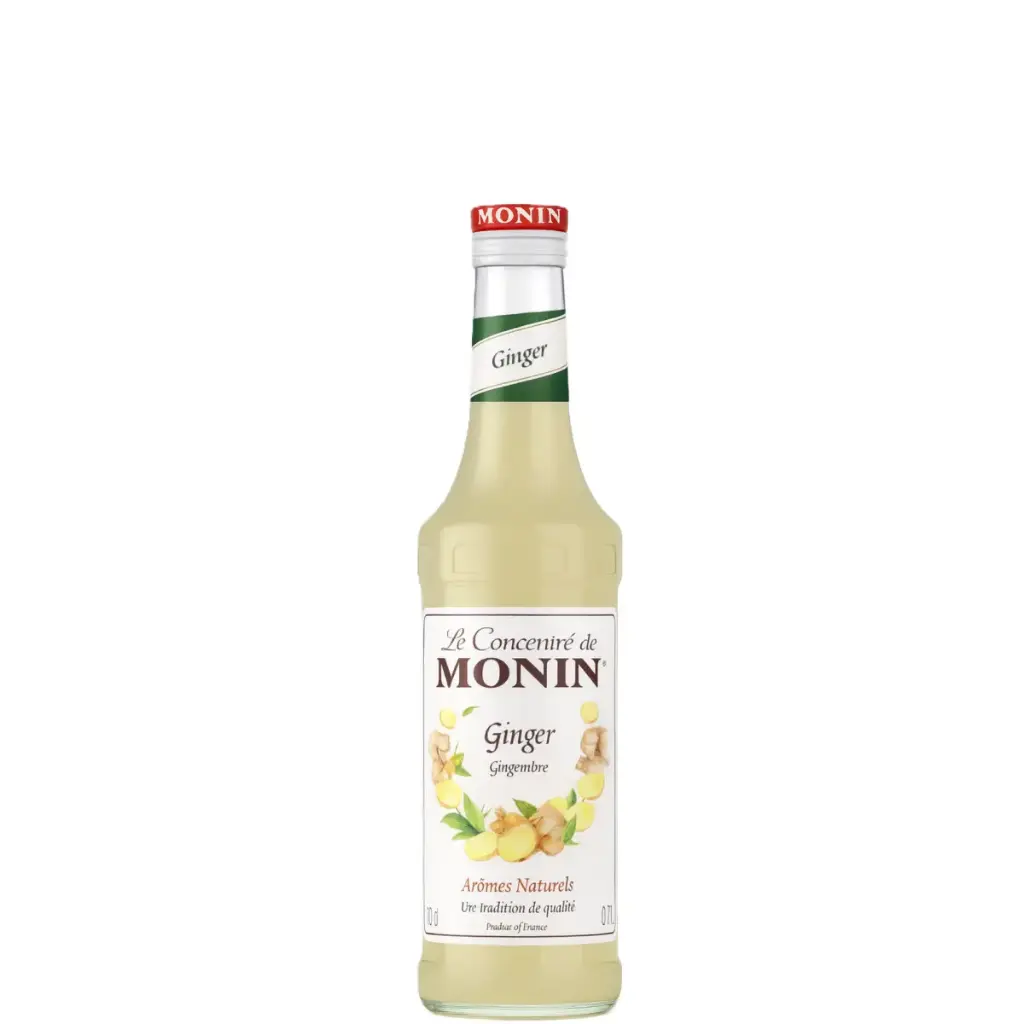 MONIN Concentré Goût Gingembre 