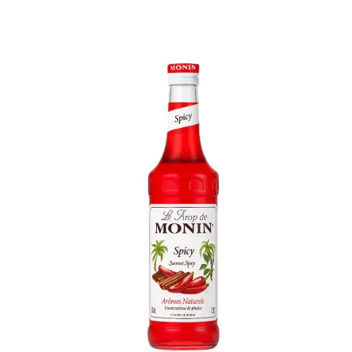 [MON1SPIC-VERR-0700-0001] MONIN Sirop Goût Spicy